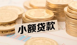 成都生意哪里有小额贷款-成都生意身份证贷款平台-成都生意民间短借